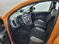 Fiat Panda Panda 1.0 FireFly S&S Hybrid Arancione - thumbnail 14