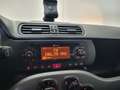 Fiat Panda Panda 1.0 FireFly S&S Hybrid Arancione - thumbnail 8