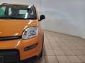 Fiat Panda Panda 1.0 FireFly S&S Hybrid Arancione - thumbnail 2