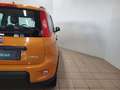 Fiat Panda Panda 1.0 FireFly S&S Hybrid Arancione - thumbnail 15