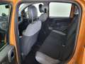 Fiat Panda Panda 1.0 FireFly S&S Hybrid Arancione - thumbnail 13