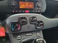 Fiat Panda Panda 1.0 FireFly S&S Hybrid Arancione - thumbnail 7