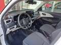 Suzuki Swift 1,2 Hybrid Shine Weiß - thumbnail 10