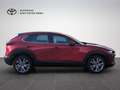Mazda CX-30 Comfort+ Rouge - thumbnail 4