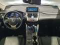 Lexus NX 300 300h Executive Navigation 4WD Gris - thumbnail 15