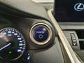 Lexus NX 300 300h Executive Navigation 4WD Gris - thumbnail 18