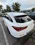 Mercedes-Benz CLA 250 CLA 250 Shooting Brake 7G AMG Line Blanc - thumbnail 3