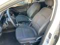 Ford Focus Traveller Titanium Aut. Weiß - thumbnail 7