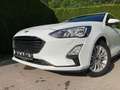 Ford Focus Traveller Titanium Aut. Weiß - thumbnail 14