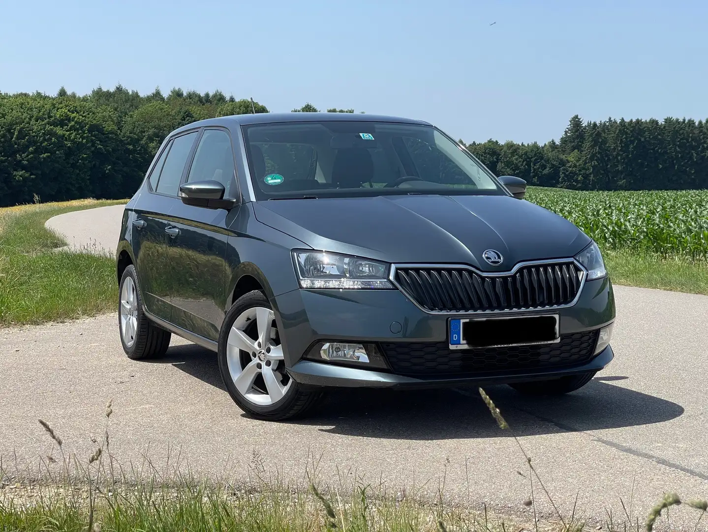 Skoda Fabia 1.0 MPI Cool Plus Grau - 1
