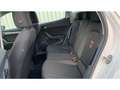 SEAT Ibiza FR 1.0 TSI DSG LED+ACC+WINTER-PAKET+KLIMA Bianco - thumbnail 11