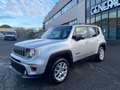 Jeep Renegade 2019 2.0 mjt Limited 4wd 140cv Argento - thumbnail 10