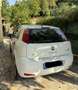 Fiat Strada Fiat Punto Street 1.2 69 CV – 5 porte Weiß - thumbnail 2