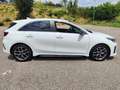 Kia Ceed / cee'd Ceed 1.6 crdi GT Line 136cv dct Bianco - thumbnail 3