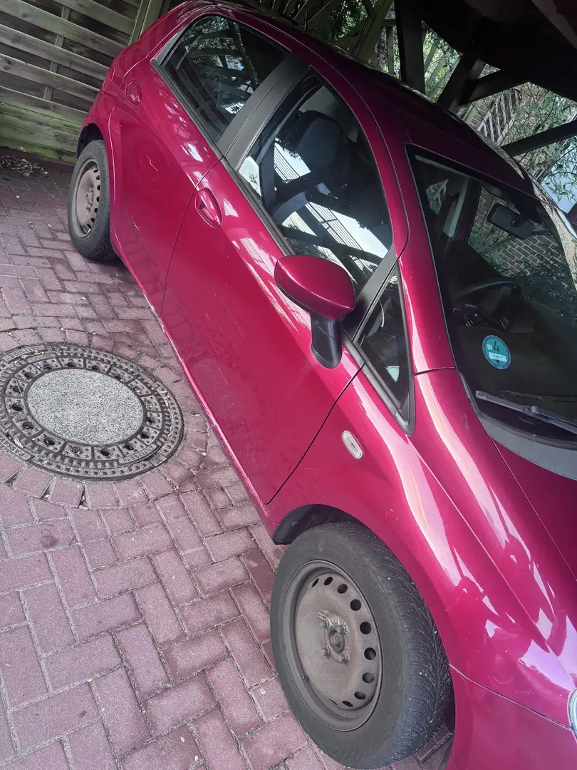 Fiat Punto - 2