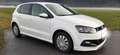 Volkswagen Polo Polo 40 Jahre limited Edition 1,0 BMT Weiß - thumbnail 2