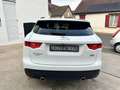 Jaguar F-Pace V6 3.0 D 300 19CV R-SPORT 4X4 BVA8 Blanc - thumbnail 9