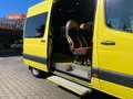 Mercedes-Benz Sprinter 316 CDI Tourer L2H2*LED*MBUX*ACC*5.Sitz Gelb - thumbnail 13