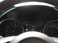 Kia Ceed SW / cee'd SW Ceed SW 1.0T DCT Nightline Navi Lenkradhzg ACC Grau - thumbnail 19