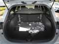 Kia Ceed SW / cee'd SW Ceed SW 1.0T DCT Nightline Navi Lenkradhzg ACC Grau - thumbnail 6