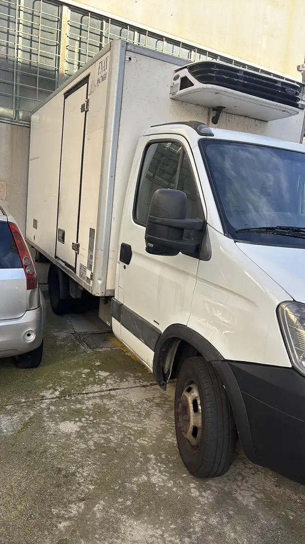 Iveco Daily frigorifero con cassonato - 2