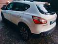 Nissan Qashqai Qashqai 1.6 dci 360 4x4 Bianco - thumbnail 12