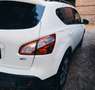 Nissan Qashqai Qashqai 1.6 dci 360 4x4 Bianco - thumbnail 11