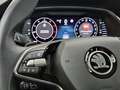 Skoda Octavia Combi 2,0 TDI el.Heckkl. SHZ vo.+hi.+LHZ Grau - thumbnail 21