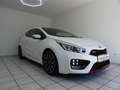 Kia Ceed / cee'd GT-Track Klima Navi Leder LED BC SH Panorama Weiß - thumbnail 1