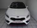 Kia Ceed / cee'd GT-Track Klima Navi Leder LED BC SH Panorama Weiß - thumbnail 6