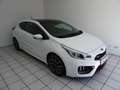 Kia Ceed / cee'd GT-Track Klima Navi Leder LED BC SH Panorama Weiß - thumbnail 16