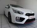 Kia Ceed / cee'd GT-Track Klima Navi Leder LED BC SH Panorama Weiß - thumbnail 15