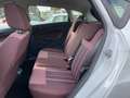 Ford Fiesta Trend NUR 69000KM Blanco - thumbnail 13