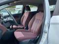 Ford Fiesta Trend NUR 69000KM Blanco - thumbnail 12