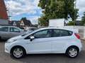 Ford Fiesta Trend NUR 69000KM Blanco - thumbnail 9