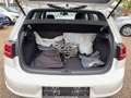 Volkswagen Golf GTE nur Gewerbe/Export Wit - thumbnail 17