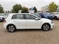 Volkswagen Golf GTE nur Gewerbe/Export Wit - thumbnail 8