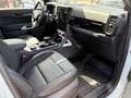 Ford Ranger Ranger DK STORMTRAK e-4WD 2.3 EcoBoost Aut. 3,5... Plateado - thumbnail 18