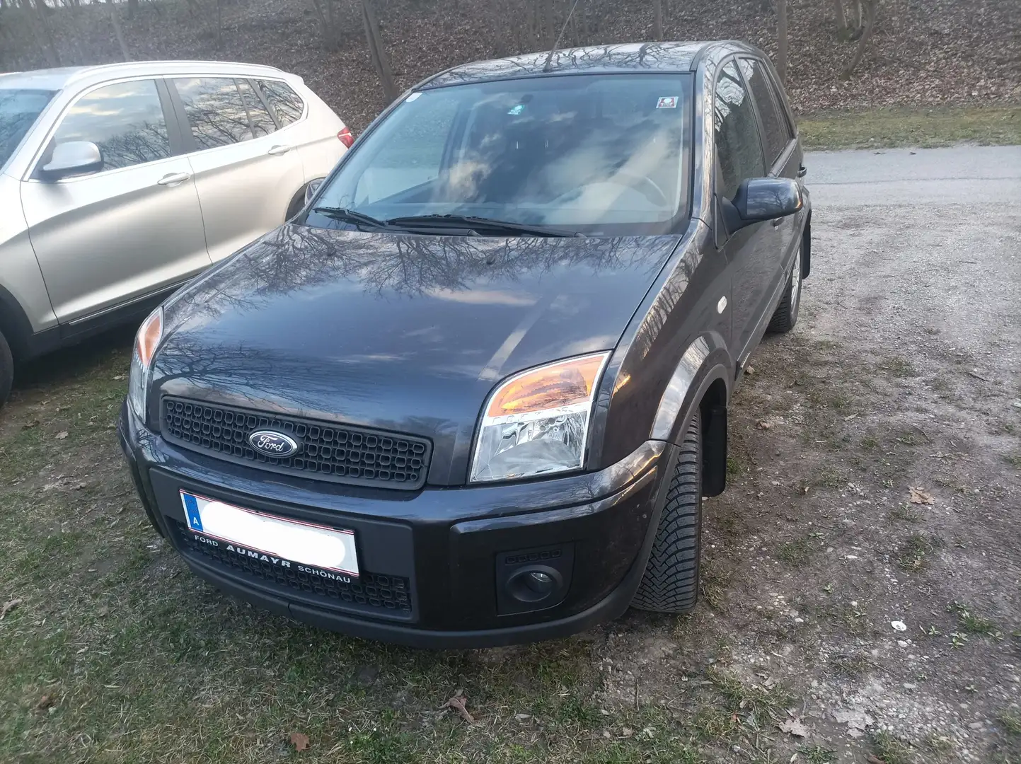 Ford Fusion Fusion Plus 1,4 TDCi Plus Grau - 1