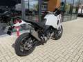 Ducati DesertX Garantie t/m 08-2026 # Desert X - thumbnail 3