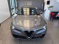 Alfa Romeo Stelvio 2.2 t Executive rwd 190cv auto my19 Grigio - thumbnail 10