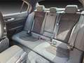 Alfa Romeo Giulia GIULIA 2.9 V6 520PS QUADRIFOGLIO SPARCO DE MWST Schwarz - thumbnail 11