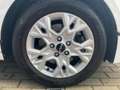 Kia Ceed / cee'd SW 1.0 Vision SHZ - DAB - LED Weiß - thumbnail 6