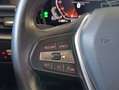 BMW 318 318d 48V Touring Business Advantage*LED*PDC*APP-C Nero - thumbnail 20