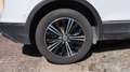 Volkswagen Tiguan II 2.0 TDI 150 DSG7 Carat - Automatique Toit ouvra Blanc - thumbnail 15