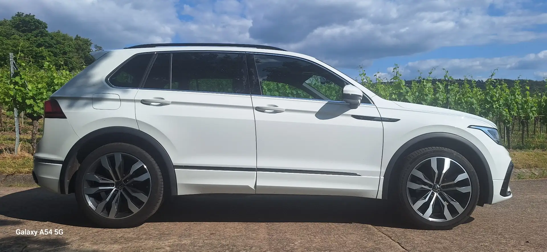Volkswagen Tiguan VW Tiguan 2.0 TDI SCR DSGR-Line AHK Sitzh. LED Weiß - 1