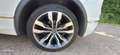 Volkswagen Tiguan VW Tiguan 2.0 TDI SCR DSGR-Line AHK Sitzh. LED Weiß - thumbnail 8