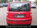 Fiat Panda 1.2 8V MyLive,KLIMA,GARANTIE,SERVO Rot - thumbnail 6