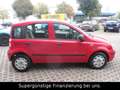 Fiat Panda 1.2 8V MyLive,KLIMA,GARANTIE,SERVO Rot - thumbnail 18