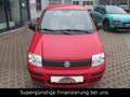 Fiat Panda 1.2 8V MyLive,KLIMA,GARANTIE,SERVO Rot - thumbnail 16